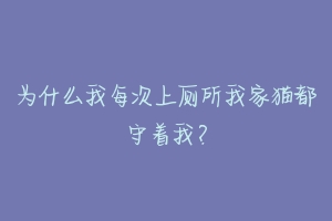 为什么我每次上厕所我家猫都守着我?