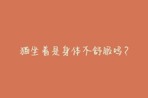 猫坐着是身体不舒服吗?