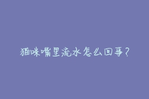 猫咪嘴里流水怎么回事?