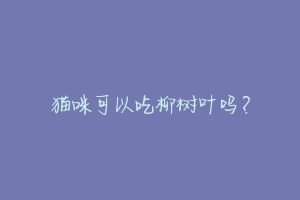 猫咪可以吃柳树叶吗?