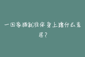 一回家猫就往你身上蹭什么意思?