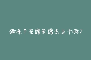 猫咪半夜蹭来蹭去是干嘛?