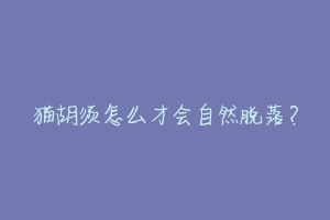 猫胡须怎么才会自然脱落？