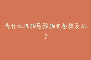 为什么捏猫后颈猫会激烈反抗?