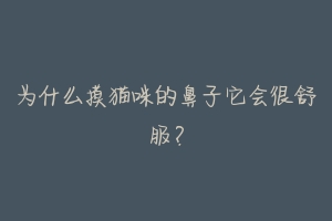 为什么摸猫咪的鼻子它会很舒服?
