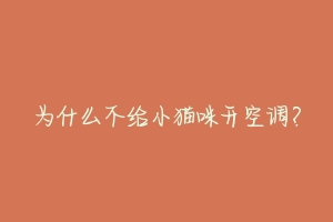 为什么不给小猫咪开空调?