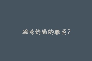 猫咪舒服的躺姿?