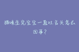 猫咪生完宝宝一直吐舌头怎么回事?