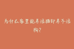 为什么家里能养活猫却养不活狗?