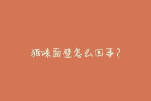 猫咪面壁怎么回事?