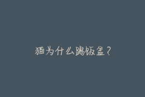 猫为什么踢饭盆?