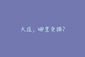 大连,哪里卖猫?