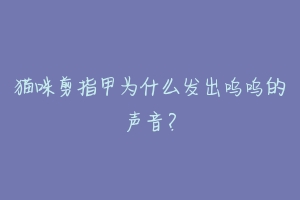 猫咪剪指甲为什么发出呜呜的声音？