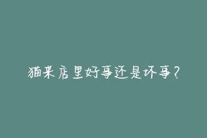 猫来店里好事还是坏事?