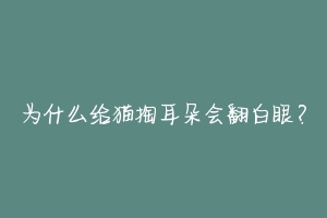 为什么给猫掏耳朵会翻白眼?