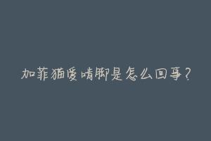 加菲猫爱啃脚是怎么回事?