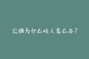 公猫为什么咬人怎么办?