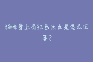 猫咪身上有红色点点是怎么回事?