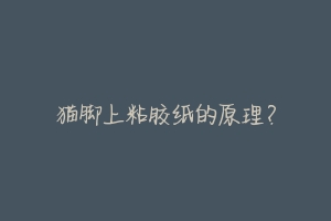 猫脚上粘胶纸的原理?