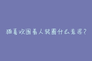 猫喜欢围着人转圈什么意思?