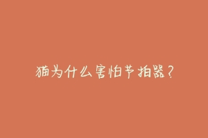 猫为什么害怕节拍器?