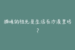 猫咪的祖先是生活在沙漠里吗?