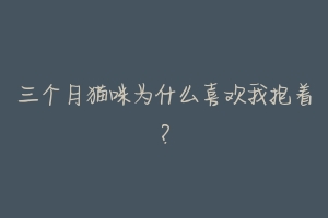 三个月猫咪为什么喜欢我抱着?