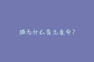 猫为什么有九条命?