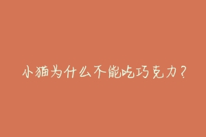 小猫为什么不能吃巧克力?