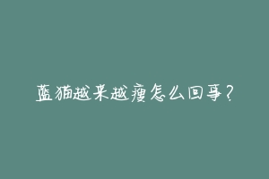 蓝猫越来越瘦怎么回事?
