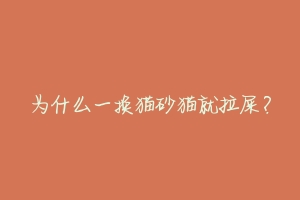 为什么一换猫砂猫就拉屎?