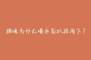 猫咪为什么喝水前扒拉两下?