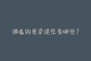 猫瘟的感染途径有哪些?