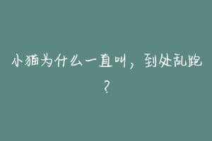 小猫为什么一直叫,到处乱跑?