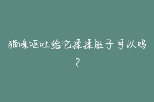 猫咪呕吐给它揉揉肚子可以吗?
