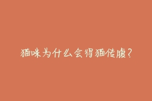 猫咪为什么会得猫传腹？