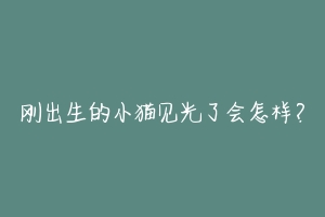 刚出生的小猫见光了会怎样?