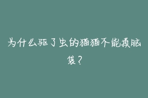 为什么驱了虫的猫猫不能摸脑袋?