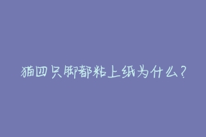 猫四只脚都粘上纸为什么?