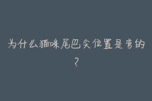为什么猫咪尾巴尖位置是弯的?