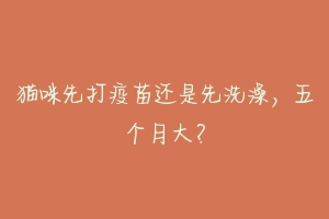 猫咪先打疫苗还是先洗澡,五个月大?