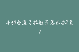 小猫受凉了拉肚子怎么办?急?