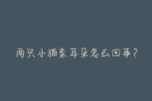 两只小猫亲耳朵怎么回事？