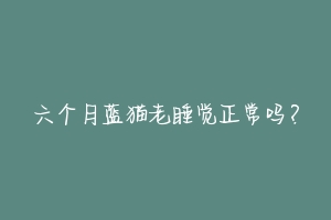 六个月蓝猫老睡觉正常吗?