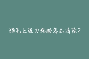 猫毛上强力粘胶怎么清除?