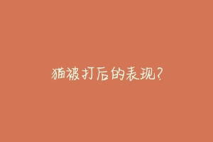 猫被打后的表现?