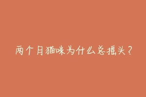 两个月猫咪为什么总摇头?