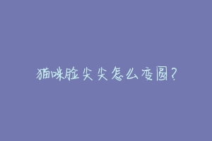 猫咪脸尖尖怎么变圆?