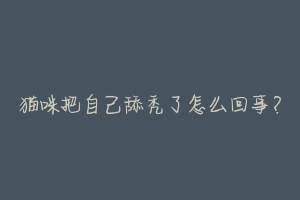 猫咪把自己舔秃了怎么回事?