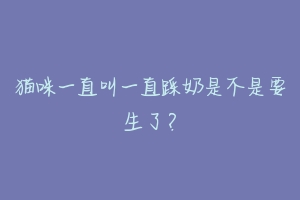 猫咪一直叫一直踩奶是不是要生了?